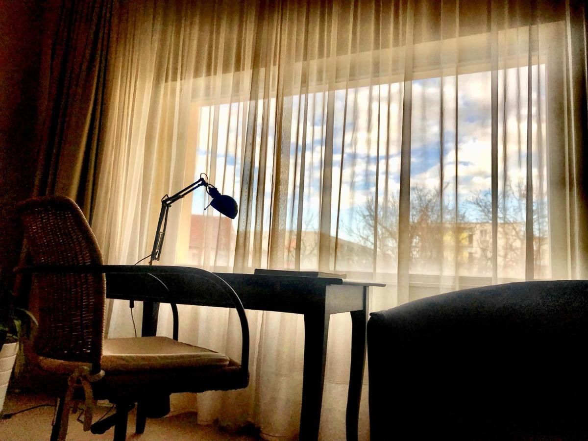 Отель Hotel Vanilla Тимишоара-18